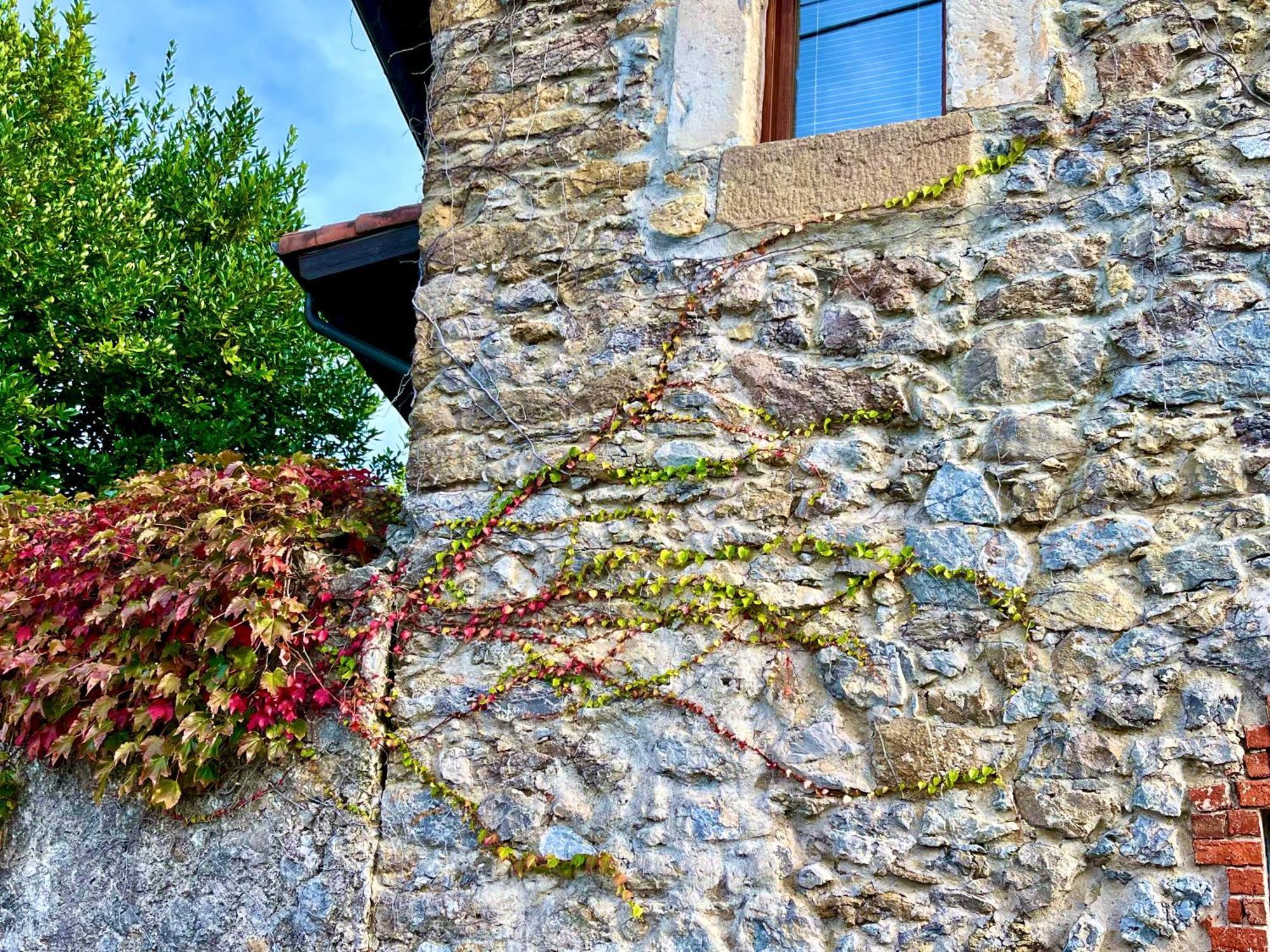 Appartamento Casona Molinos Del Agua Arnuero Esterno foto